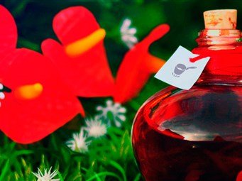 header-bottle