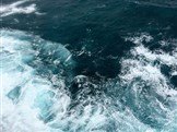 bossfight-free-stock-photos-ocean-water-froth-bubbles